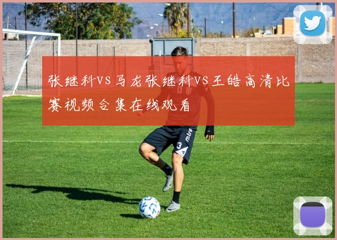 张继科vs马龙张继科vs王皓高清比赛视频合集在线观看