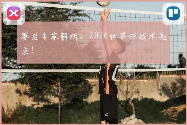 赛后专家解析,2026世界杯战术亮点!