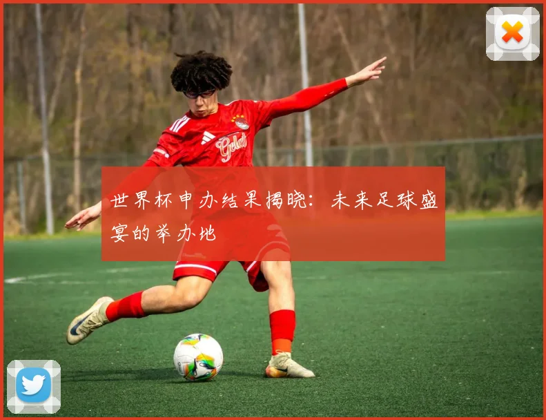 世界杯申办结果揭晓:未来足球盛宴的举办地
